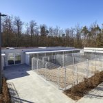 Tierheim_BB_21
