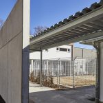 Tierheim_BB_31